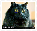 blackcats18