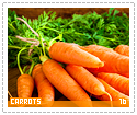 carrots16