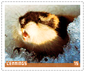 lemmings15