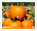 pumpkins12